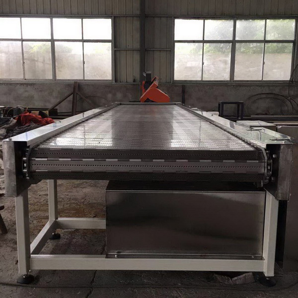 不銹鋼鏈板輸送機(jī)