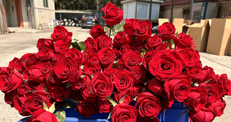 致最美的你！2024年三八婦女節(jié)如約而至，雅香麗懷揣著無比的敬意與期待，熱烈慶祝這個專屬于女性朋友們的盛大節(jié)日！